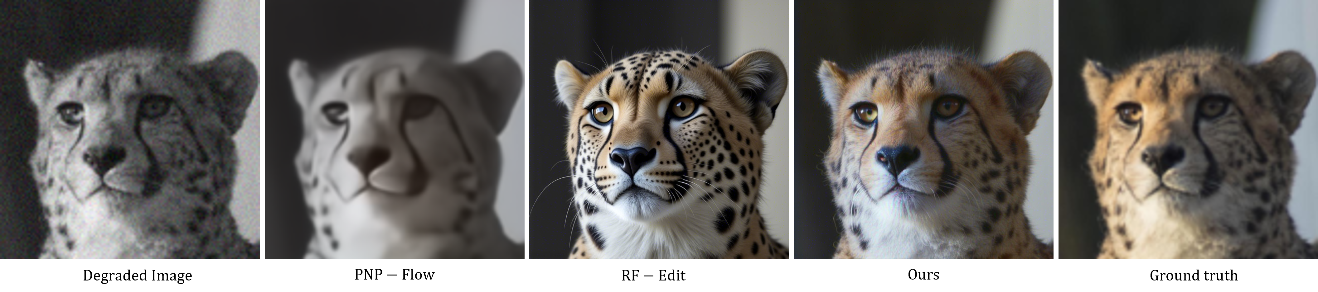 Colorization: comparison between FlowSteer and baselines