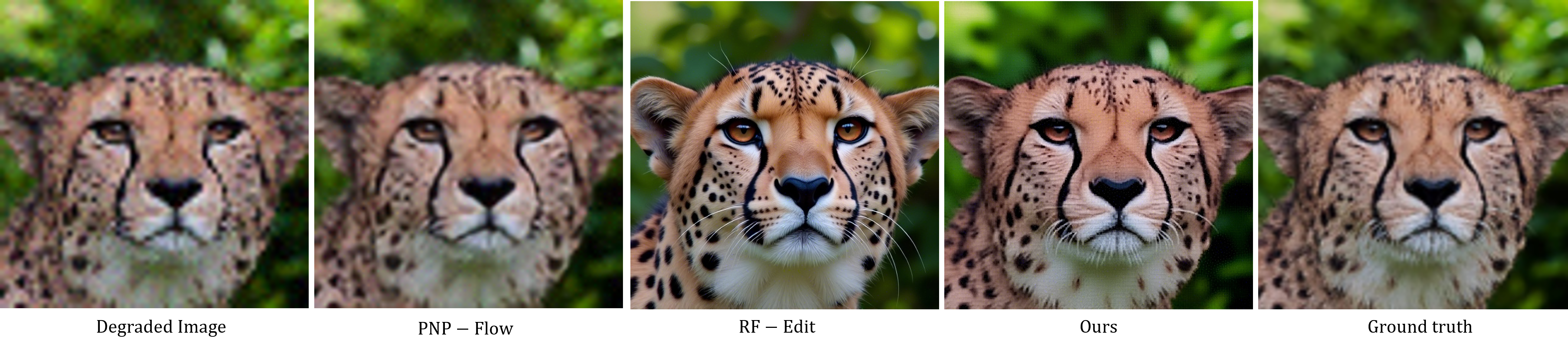 Super-resolution: comparison between FlowSteer and baselines